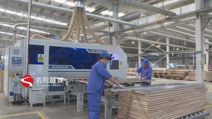 泗陽 積極引導加快轉型，推動木材加工和家具制造業做大做強